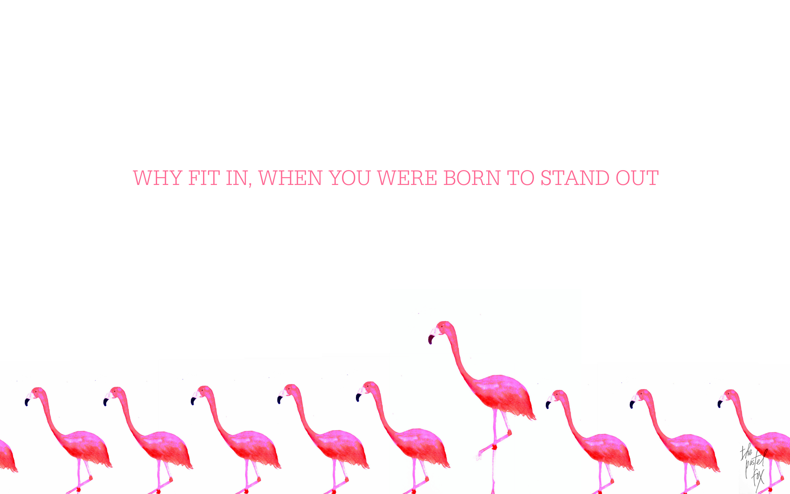Flamingo For Mac Free Download